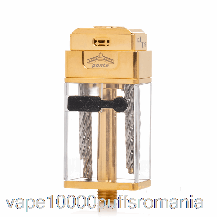 Vape Romania Orca Vape X Mrjustright1 Ponte Xl Rdta Stubby Tank Gold